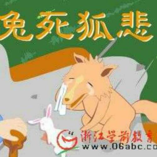 好听的兔子的成语