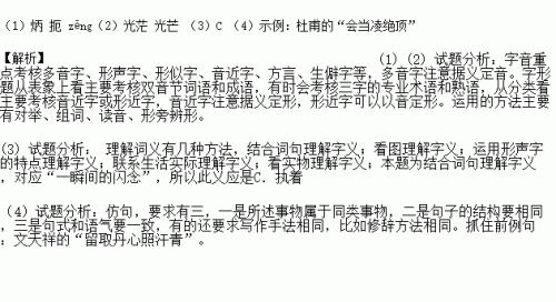 执意的替换词