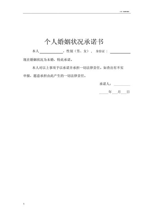 历次婚姻状况是什么意思