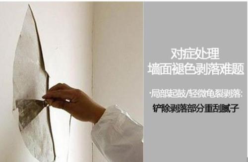 墙皮是什么做的