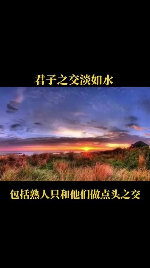 君子之交淡如水的经典句子