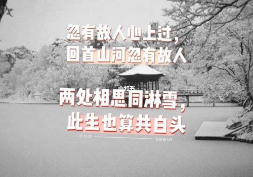 关于淋雪白头的诗句