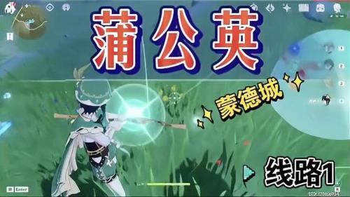 原神蒲公英怎么踩