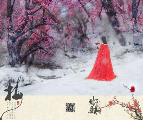 路边一枝梅原唱