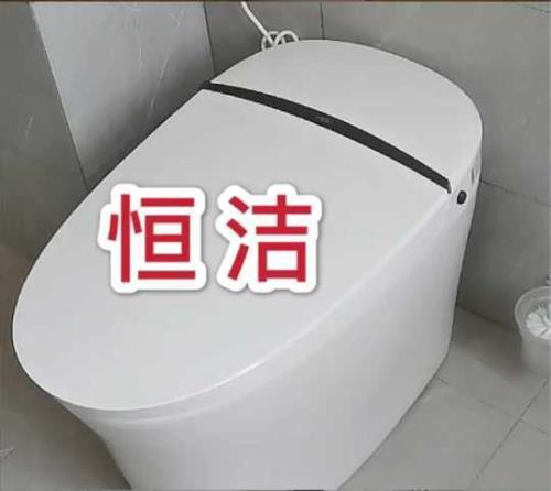 智能马桶能不能倒脏水