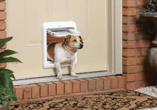 喊别人叫门儿是什么意思