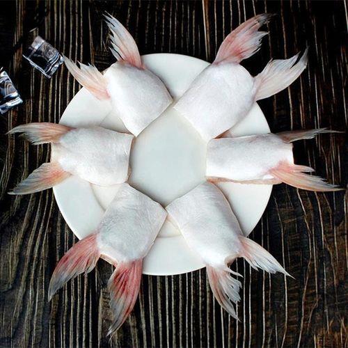 鱼翅在鱼的哪个部位