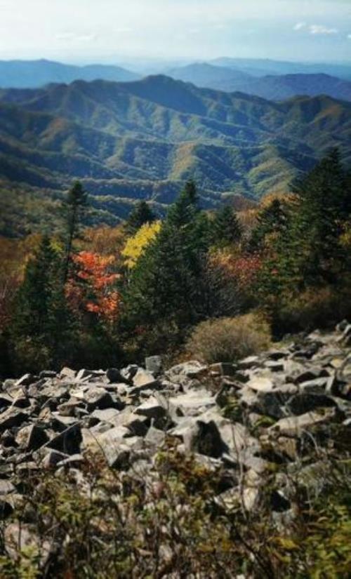 银岭峰哪里动物多