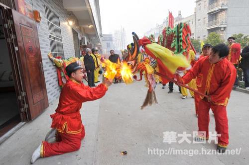 僵狮子挖人什么意思