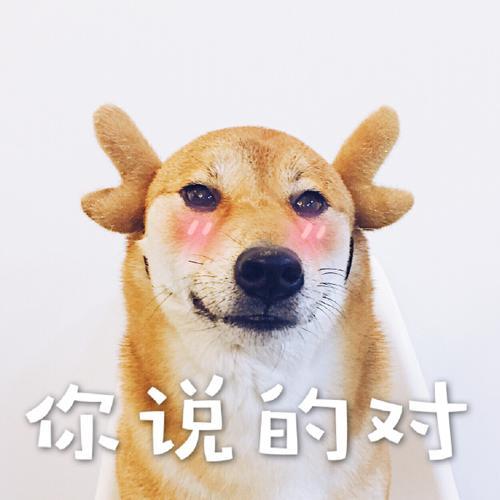 你说得对怎么幽默回复