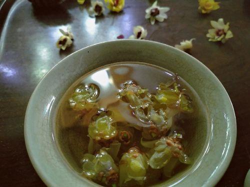 怎么样做腊梅花茶