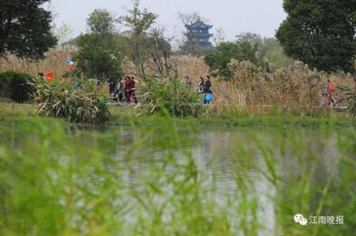 大溪港湿地公园开放吗