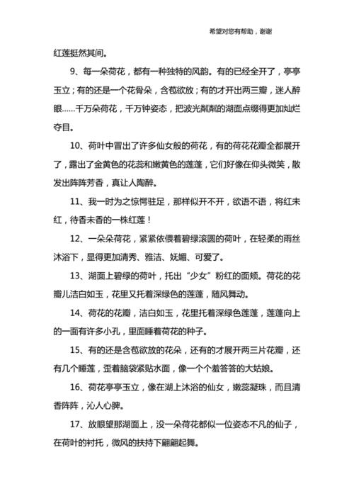 描写荷叶的句子10个字
