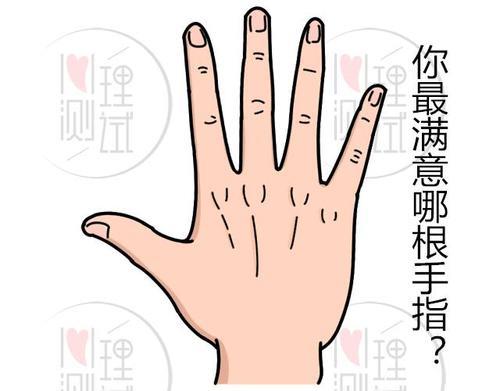 你是我的左右手是什么意思