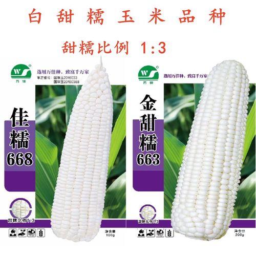 新玉668玉米品种审定公告
