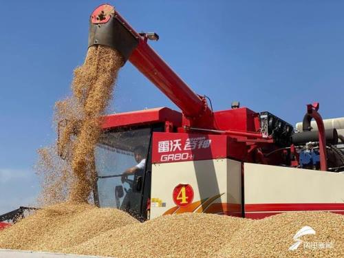 2021年南方夏收是什么时候