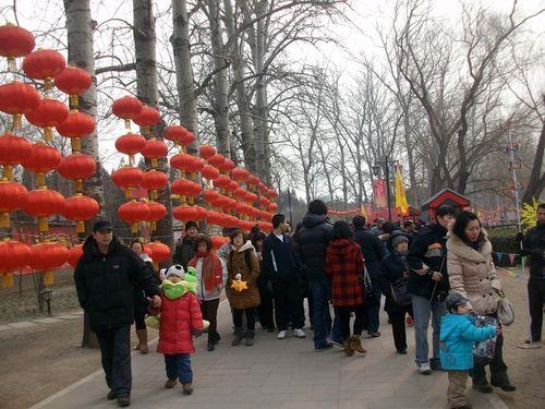 圆明园庙会到几号