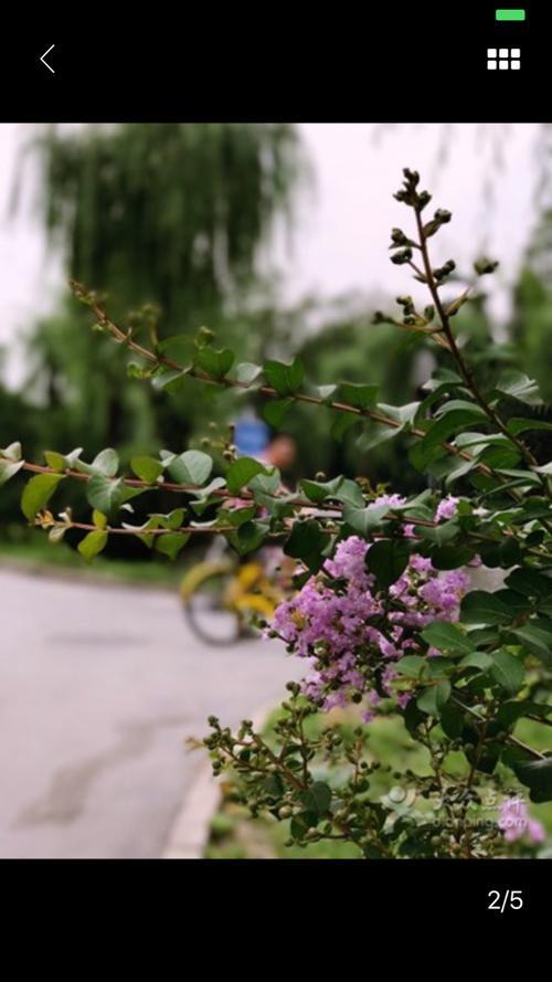 图片背景虚化的处理