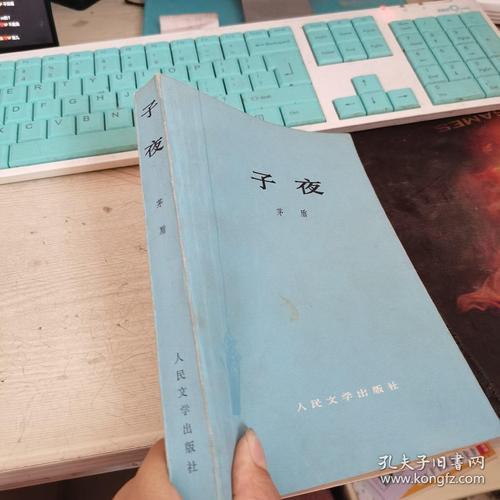 茅盾小说子夜男主角叫啥名