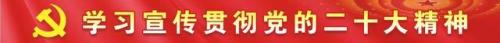 何为定补干部