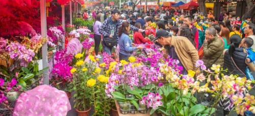 荔湾湖水上花市时间表