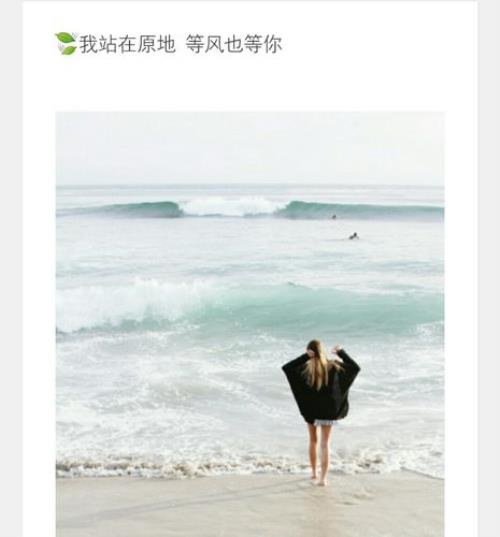 我在等风也在等你上一句