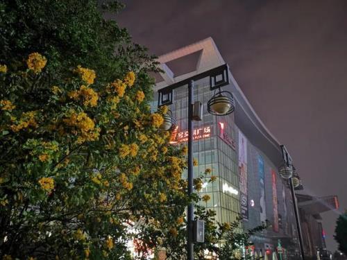 深圳最繁华的商场