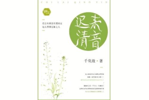 小说bo是什么意思