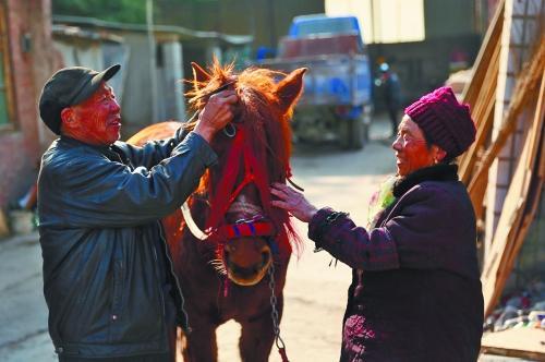 马上风是指什么