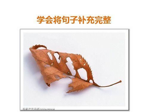 用正和呢组句子