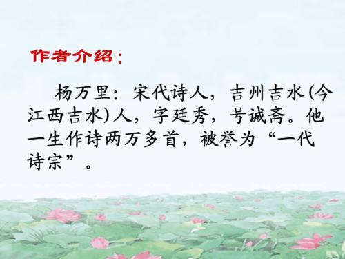 晓出净慈寺送林子方中晓的意思