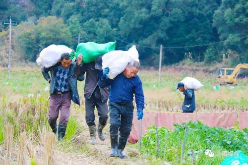 农村致富新出路