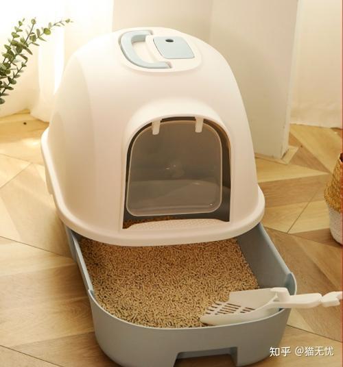 猫砂堵住马桶最快方法