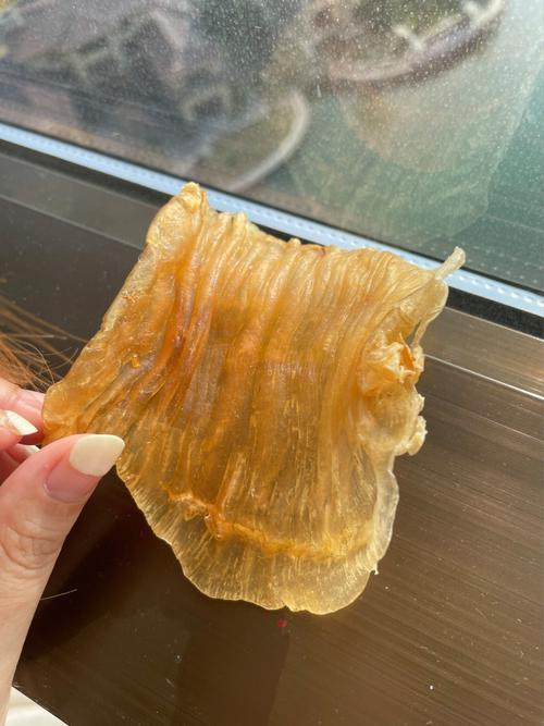赤嘴花胶的正确泡发方法