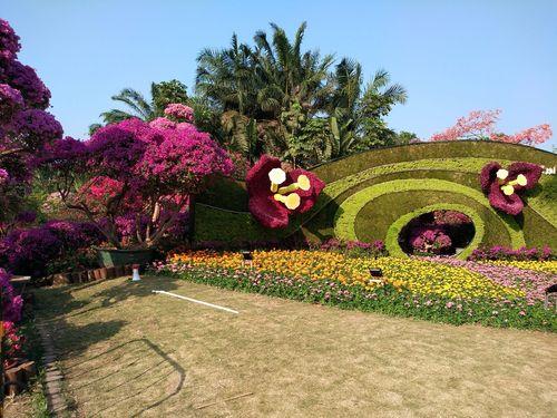 深圳春节哪个公园有花展