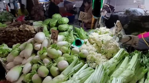 成都哪里买菜最便宜