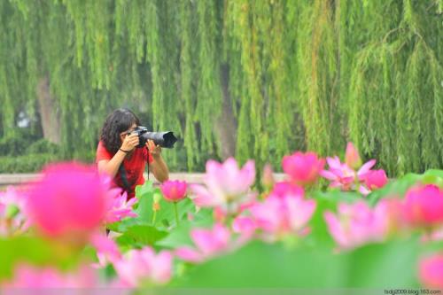 花光柳影是干什么用的