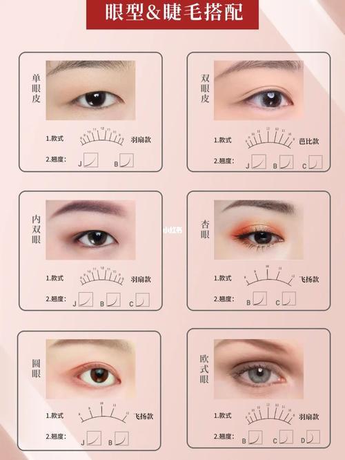 各种眼型对照表