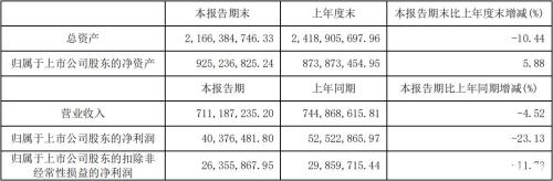 财报上的非标是什么意思