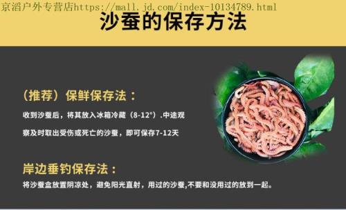 饲养海沙蚕的最佳温度
