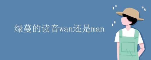 wan的汉字