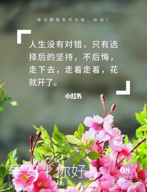 我们走着走着花就开了原唱