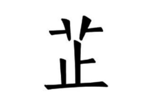 芷的含义是什么