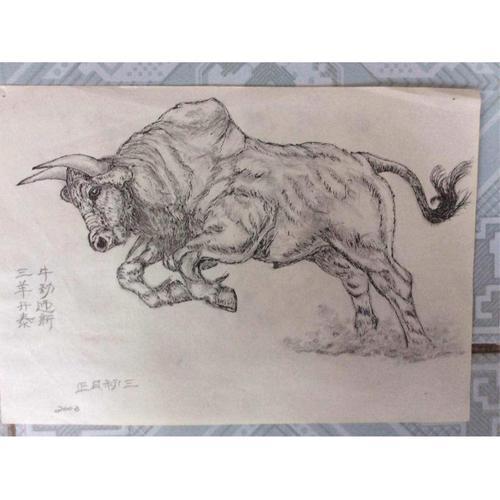 牛的素描画步骤