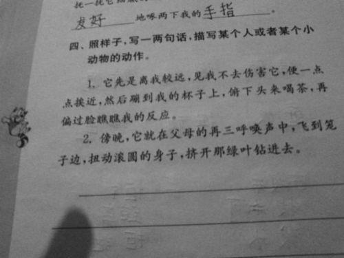 我能当个小句号照样子写句子