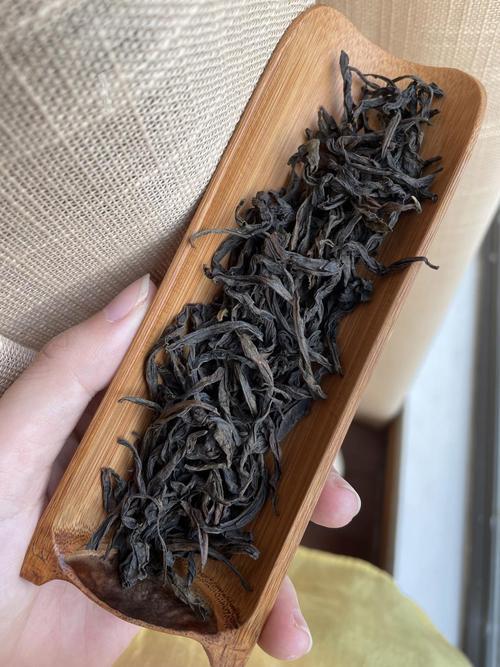 金边大红袍来年还开花吗