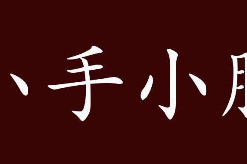 形容手好看成语