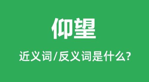 微妙的近义词是什么