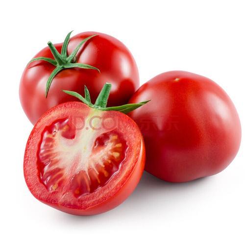 西红柿是属于蔬菜类还是水果类