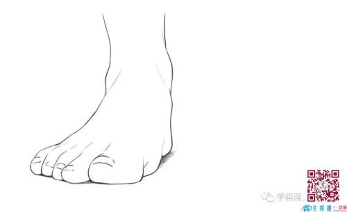 前脚是哪个脚